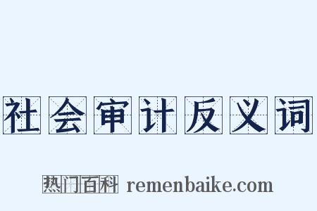 社会审计反义词是什么意思的图片